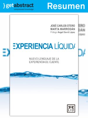 cover image of Experiencia líquida (resumen)